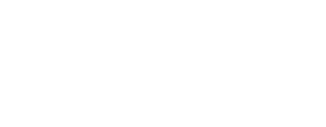 狞猫云-深圳玖晨数智科技有限公司
